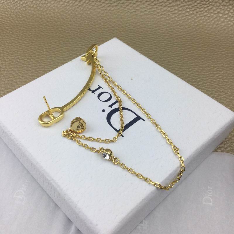 Dior Earring 04lyr252